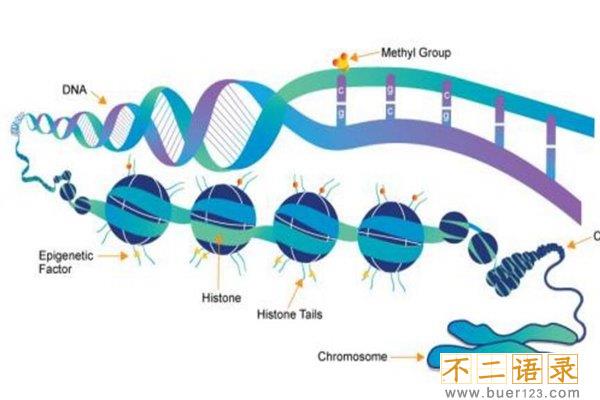 硅基生命真的存在吗?硅基生命是否比人类更高级图片