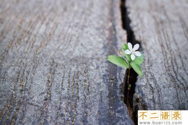 如何看出一个人的逆商?盘点逆商高的人的5个特点图片