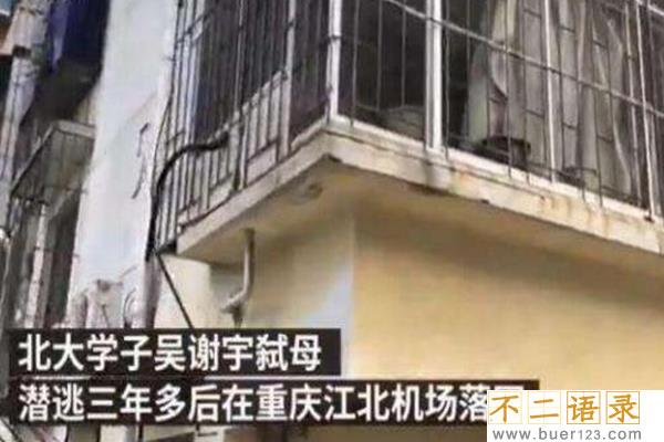 北大学子弑母案细思恐极，作案前因后果曝光图片