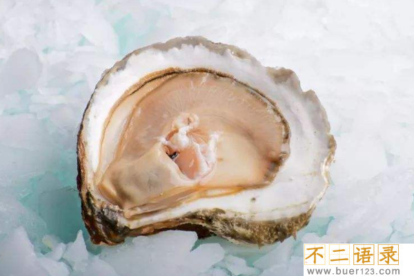 世界上最贵的十大海鲜:蓝龙虾上榜 第一每斤2万多元图片