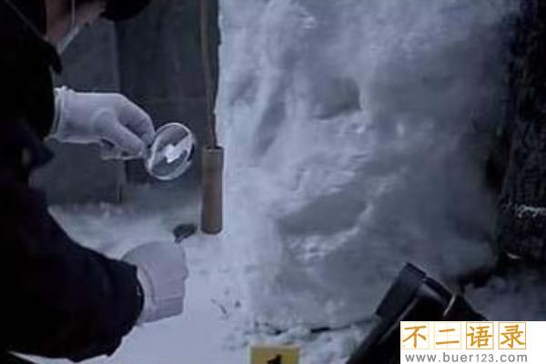 2007东北肢体雪人案破了吗?被十宗罪作为原型(残忍行凶)图片