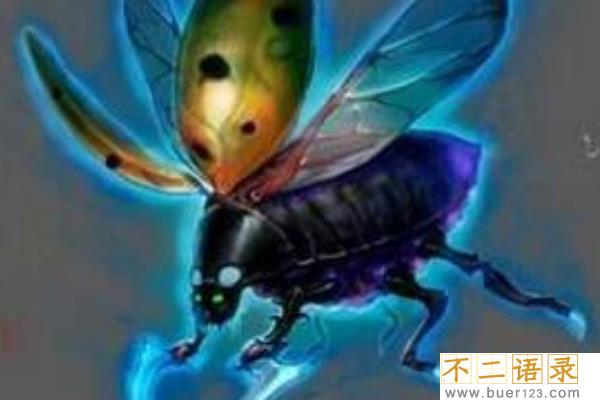 火瓢虫是真实存在的吗?原型来自鬼火(一碰就烧为灰烬)图片