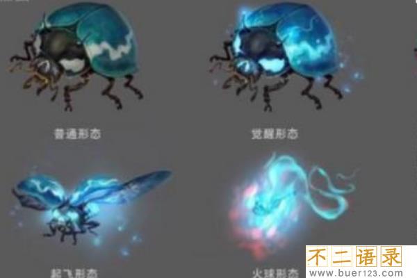 火瓢虫是真实存在的吗?原型来自鬼火(一碰就烧为灰烬)图片