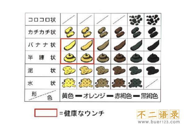 金粒餐真的还是假的?少女粪便制成的菜肴(源自04年谣言)图片
