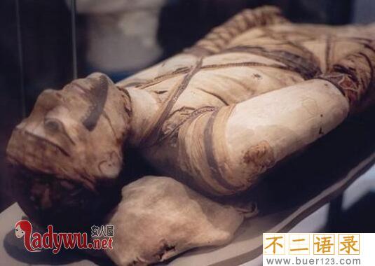 埃及木乃伊是怎么形成的 埃及木乃伊杀人事件图片
