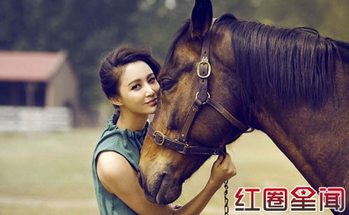 张歆艺老公杨树鹏个人资料背景 张歆艺杨树鹏被传离婚双方未回应图片