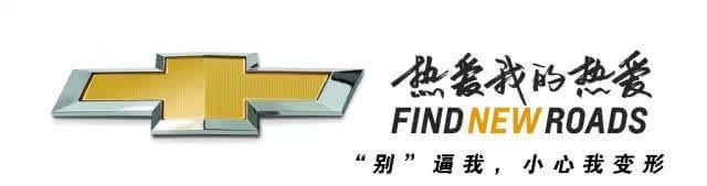 成都女司机卢琴被打后汽车广告词创意来袭图片