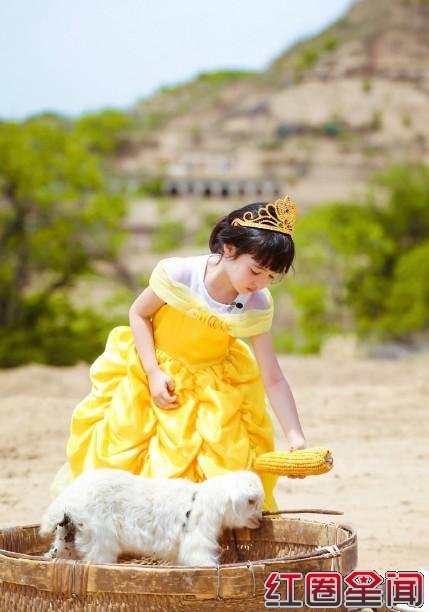 夏克立女儿poppy没有公主病真相 夏克立老婆黄嘉千身世显赫图片