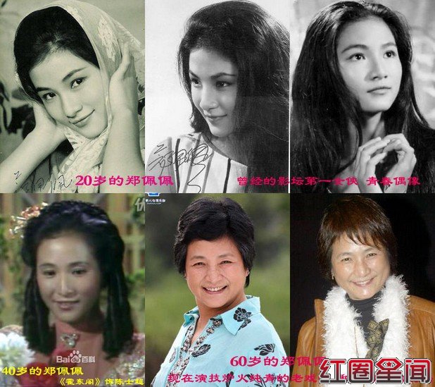 郑佩佩老公原文通身世背景惊人 郑佩佩原文通离婚是怎么回事图片