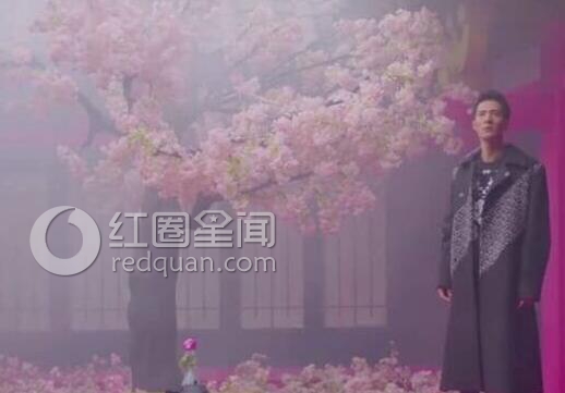 太子妃升职记被广电强制下线 太子妃升职记剧情介绍图片