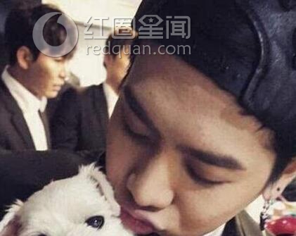 王嘉尔韩国人气高不高 宋妍霏和王嘉尔二人在一起了吗图片