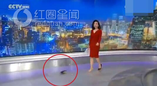 央视主持人高跟鞋意外甩出 盘点舞台尴尬瞬间