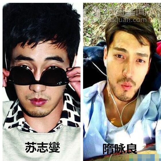 隋咏良苏志燮对比照 隋咏良整容过么