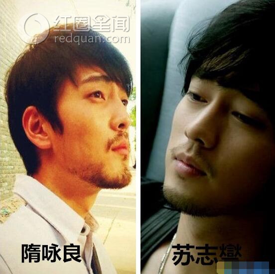 隋咏良苏志燮对比照 隋咏良整容过么