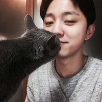 慵懒阳光亲近人动漫男生头像图片
