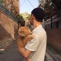 白的照片动漫人物男生头像图片大全集图片