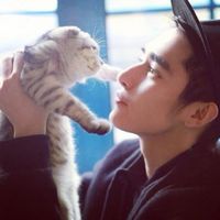 白的照片动漫人物男生头像图片大全集图片
