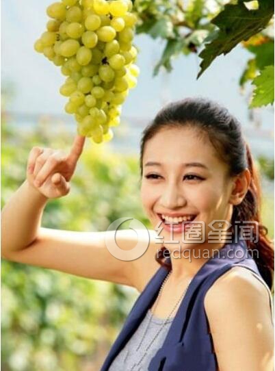 曾泳醍整容前后照片 为什么曾泳醍和李小冉好像图片