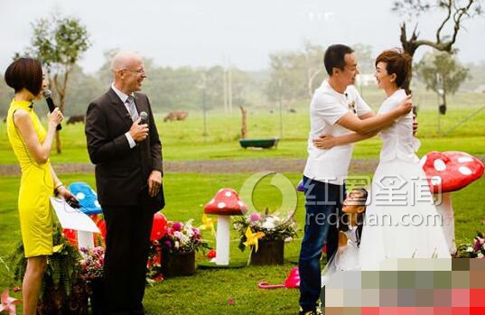 朱媛媛辛柏青离婚了吗 朱媛媛个人资料大简介图片