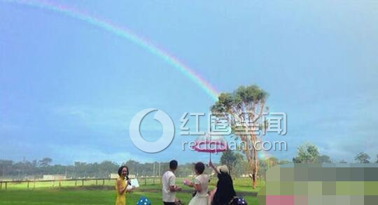 朱媛媛辛柏青离婚了吗 朱媛媛个人资料大简介图片