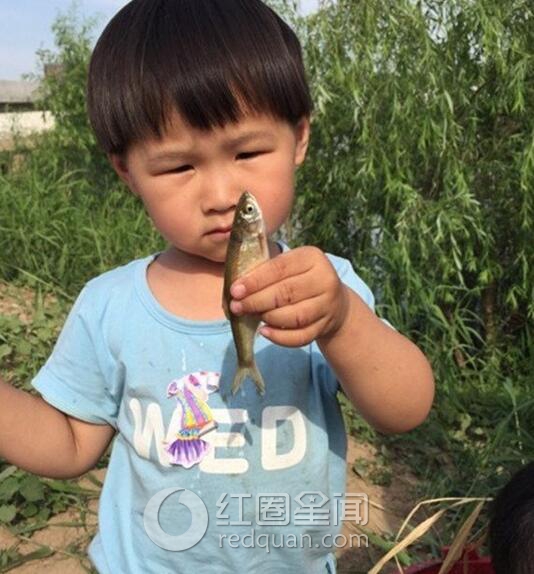 岳云鹏女儿照片 岳云鹏老婆郑敏个人资料