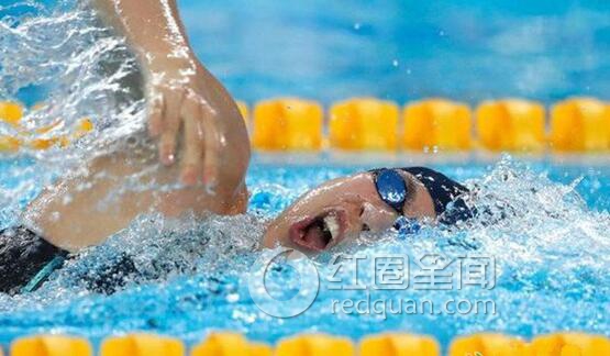 游泳王施佳最好成绩 女子游泳王施佳有男友吗