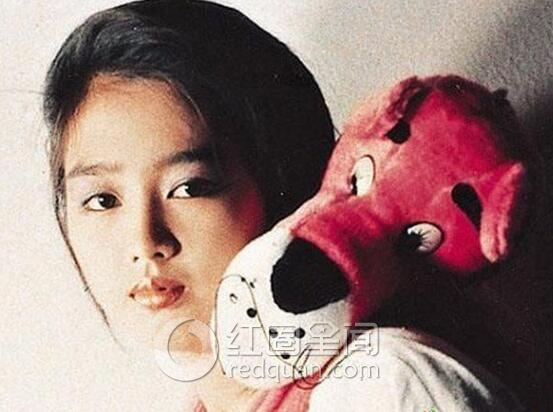 刘德华东北下跪事件 刘涌睡了刘德华老婆属实吗图片