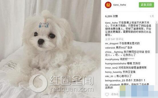 王宝强看不起陈赫吗 陈赫前妻为什么离婚