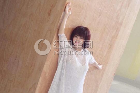 潘迎紫有孩子吗 潘迎紫陈鸿烈为什么离婚图片
