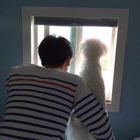 帅气红色头发的男生头像图片大全图片