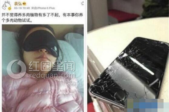 袁弘怎么会看上张歆艺 袁弘张歆艺恋爱史揭秘图片
