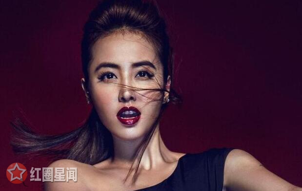蔡依林绯闻男友有哪些 蔡依林歌词低俗被禁止商演图片