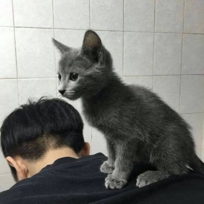 2018高冷帅气的qqqq头像男生动漫可以取图图片