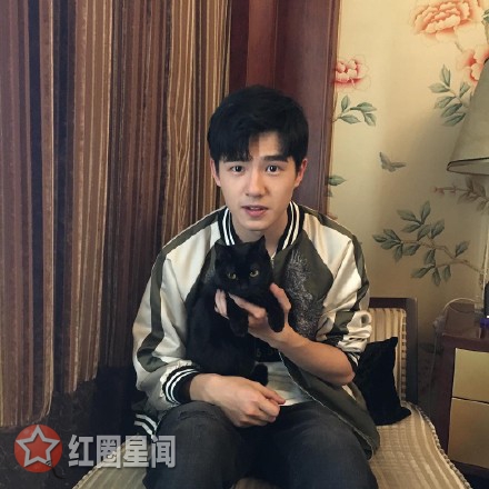 妖猫传丹龙结局竟成惠果大师 白龙追杀丹龙因杨贵妃吗图片