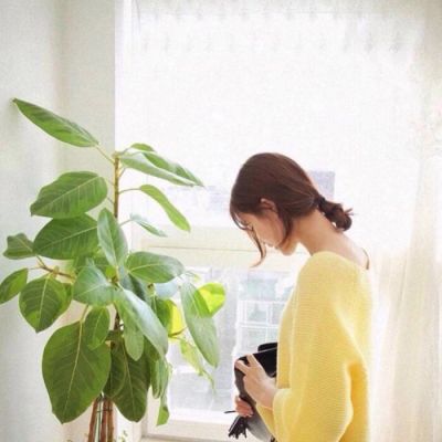 圆形头像女生边框素材图片