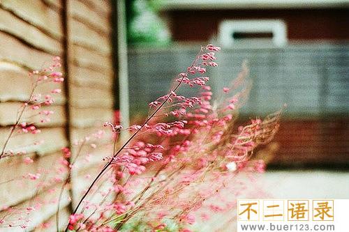 祝公司越来越好的句子 祝愿公司前程好的句子