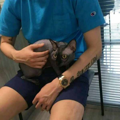 qq头像qq帅气动漫男生情侣头像图片