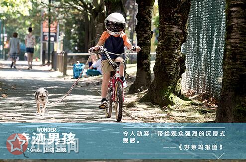 奇迹男孩的评价如何好看吗 奇迹男孩讲述的什么故事图片