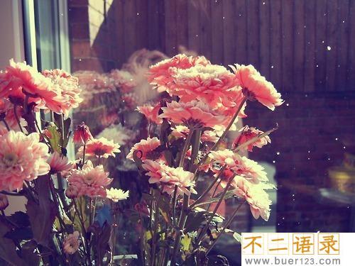 个性留言短语8字 留言短句8个字暖心