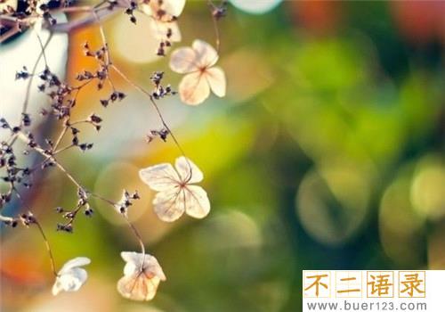 夸女生漂亮的俏皮话 夸别人漂亮的幽默的话 图片