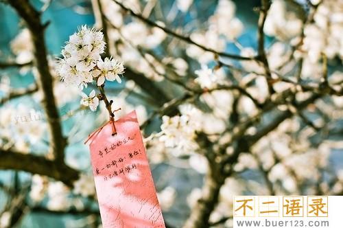 自嘲自己胖的搞笑句子 说自己胖了幽默句子