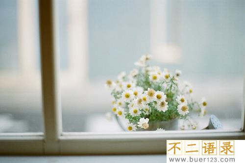 经典语录社会 社会语录经典说说霸气
