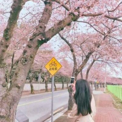 高清图片唯美女生头像图片