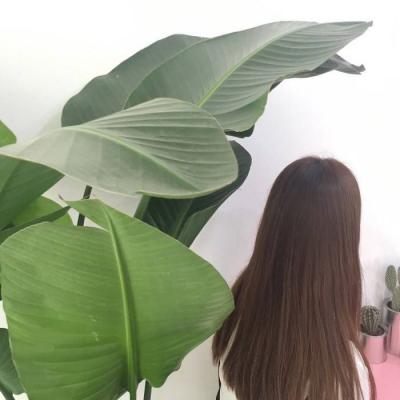 适合女生用的失恋头像图片