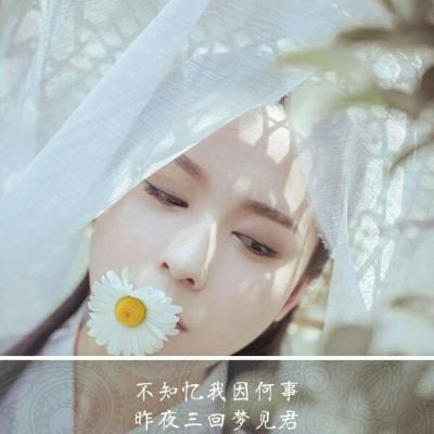 高贵气质优雅女生头像图片