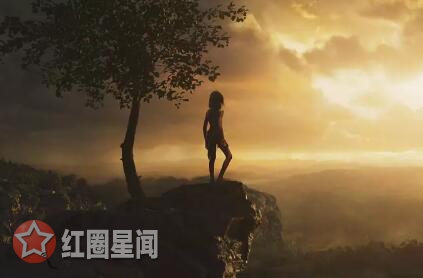 森林之子毛克利讲了什么 男孩探险黑暗森林成为动物之王图片