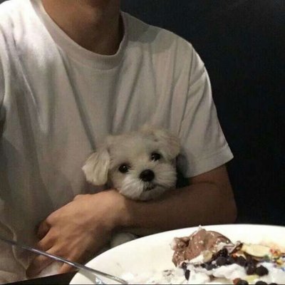2018最潮qq头像男帅气冷酷真人男生摸猫的头像图片