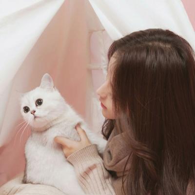 带萌宠的头像大全魔道可爱头像男生图片