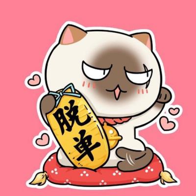 qq女生头像网名配套图片