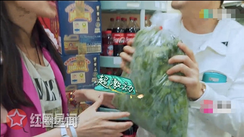 九层塔是什么菜 苏有朋认错九层塔遭嘲笑图片